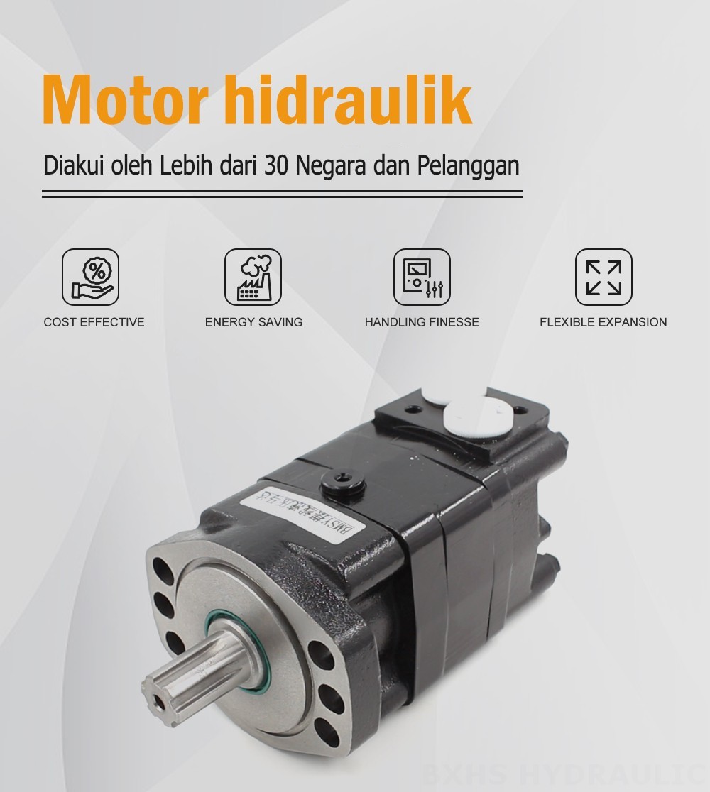 Motor Hidrolik Cycloid BMSY 100 cc/r 50 Lpm Motor Hidrolik